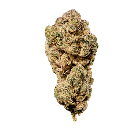 Guavaz Strain