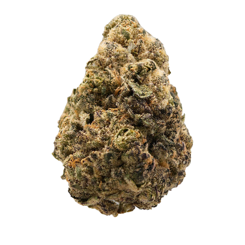 Siggis Löwenzahn Strain