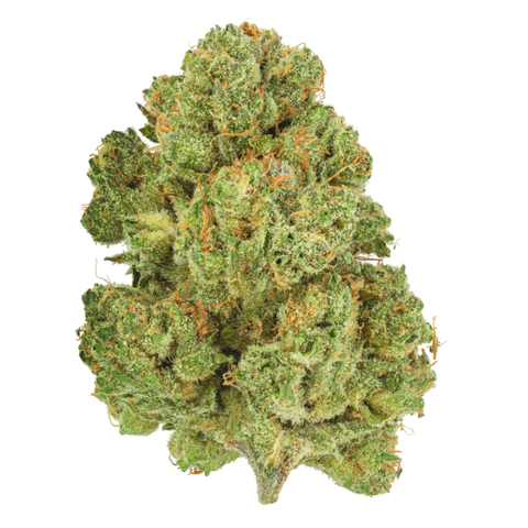 Moon Berry Strain