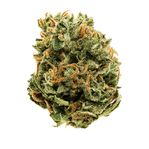 Strawberry Cloud 9 Strain