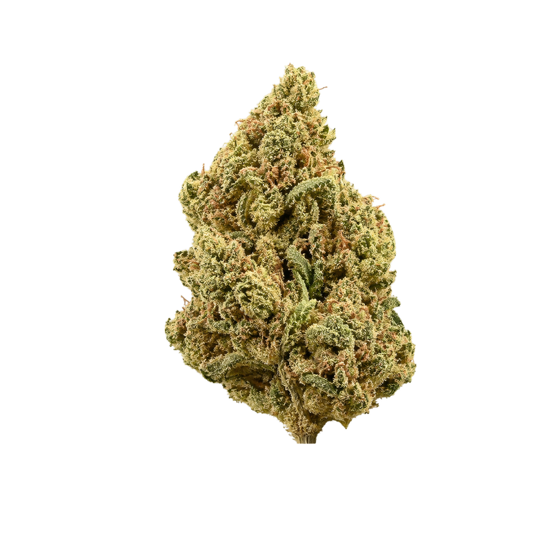 Citron Cookies × Biker Kush
