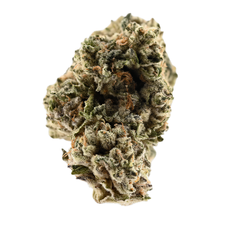 Animal Cookies X Sinmint Cookies