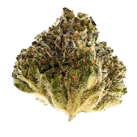 Crumbled Lime Strain