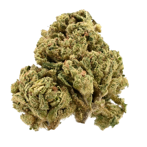 Citron Cookies X Biker Kush Strain