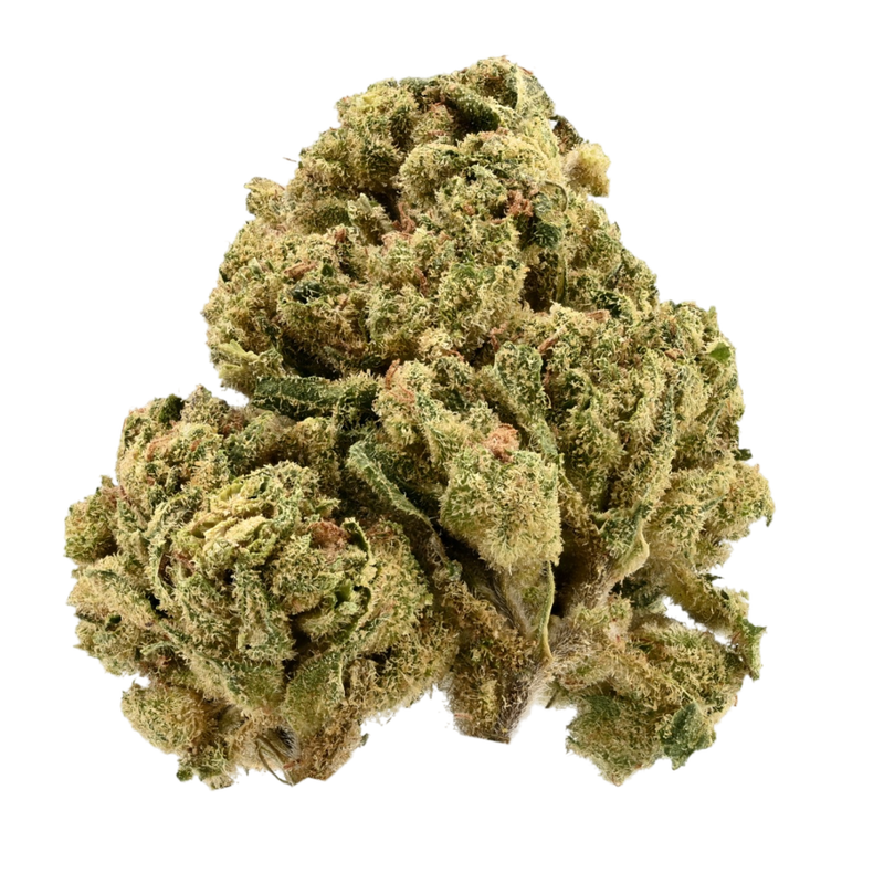 Citron Cookies X Biker Kush