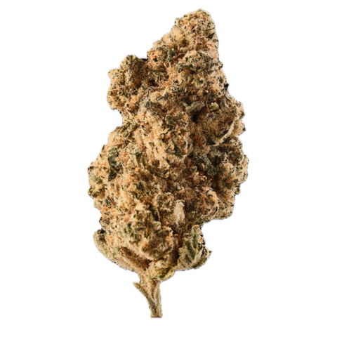 Bakers Delight Strain