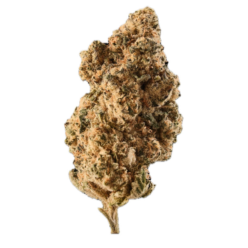 Bakers Delight