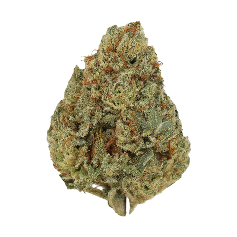 Nova Strain