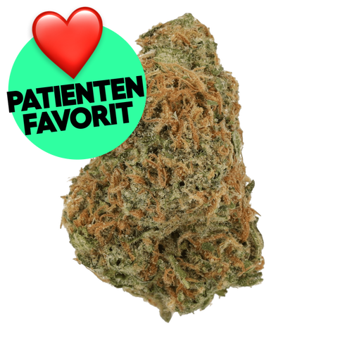 Gelato Dream Strain