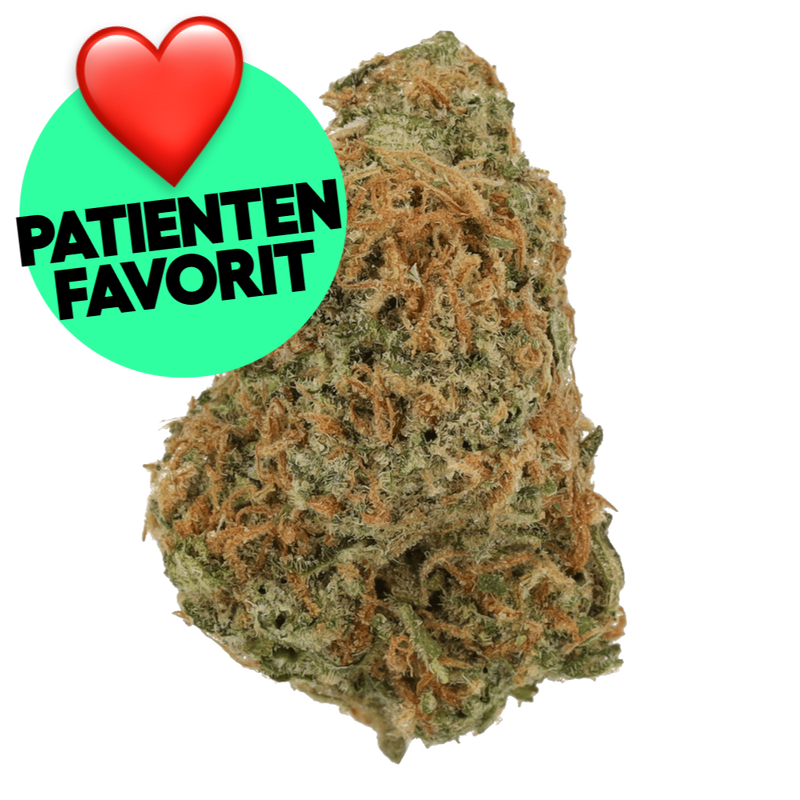 Gelato Dream