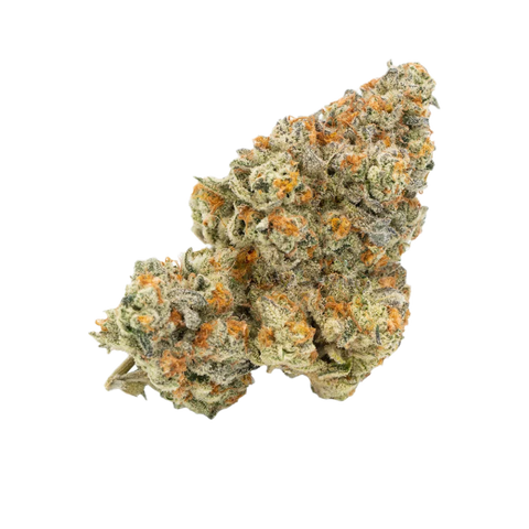 Loud Mouth Strain