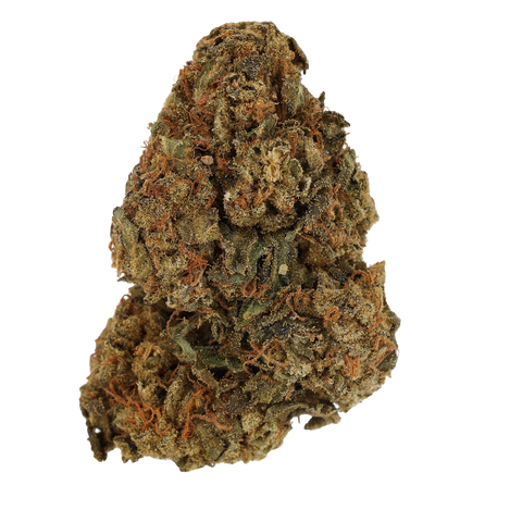 Hindu Kush Strain