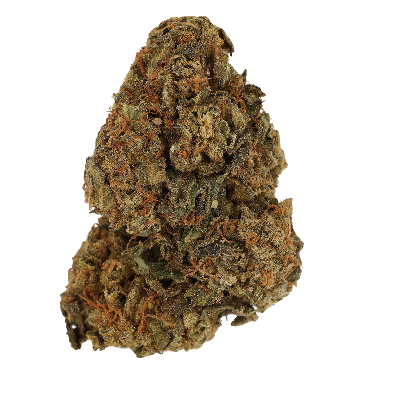 Hindu Kush