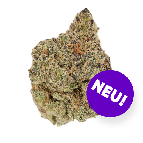 Blunicorn Strain