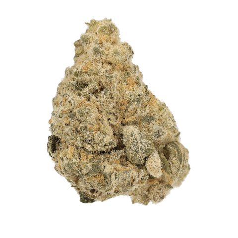 Larrys GMO Strain