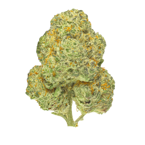 Chemango Kush Strain