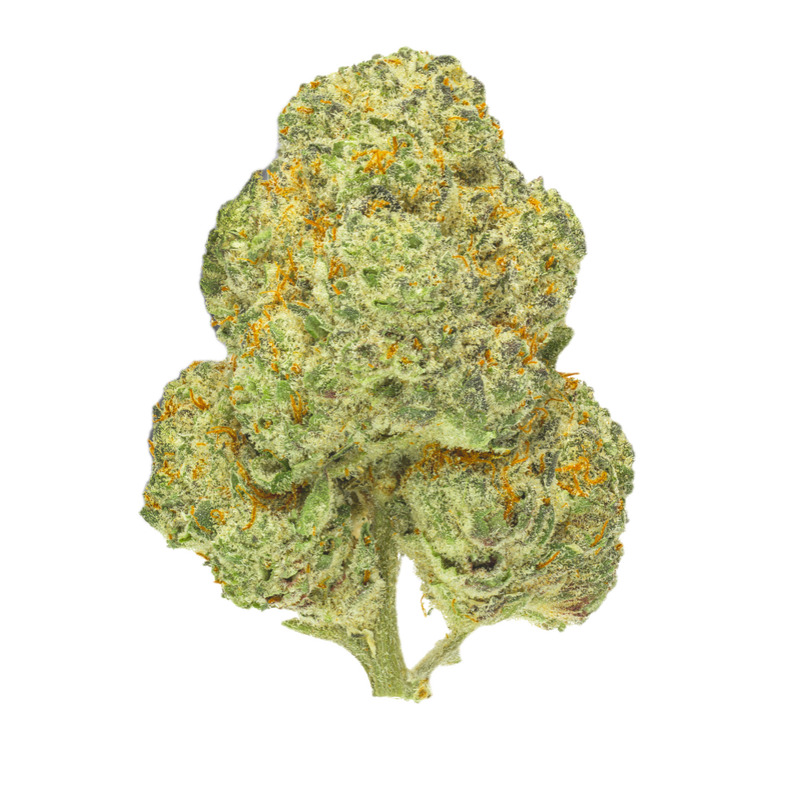 Chemango Kush