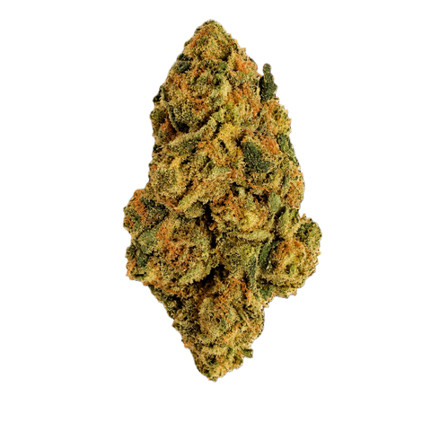 GMOSI Strain