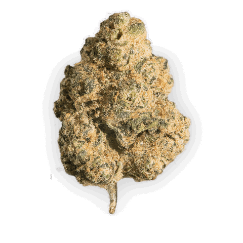 Garlic-Mushroom-Onion Cookies Strain