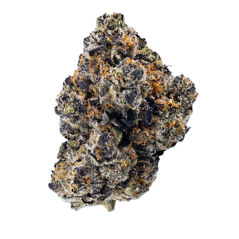 Splitter Jelato Strain