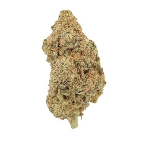 MAC 2 Strain