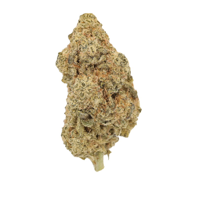 MAC 2