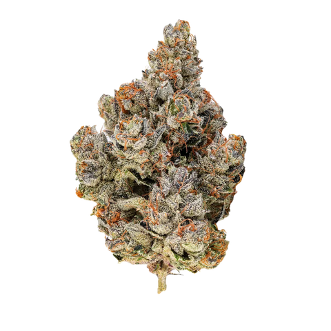 High Society Strain