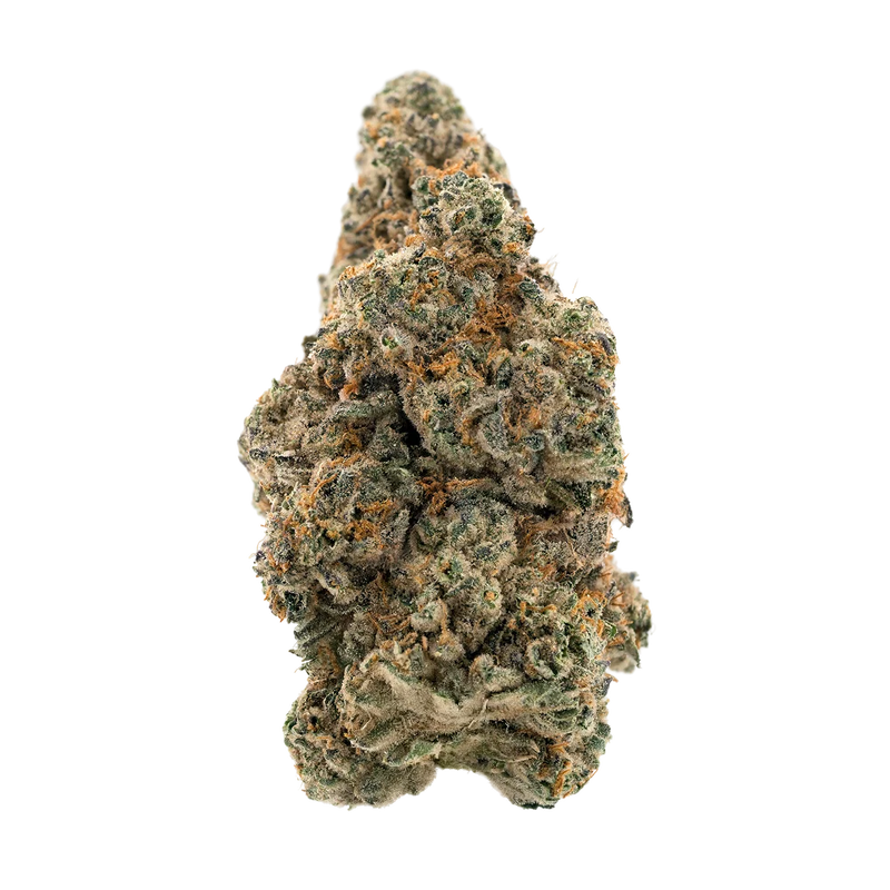 Moonbow X Planet Purple