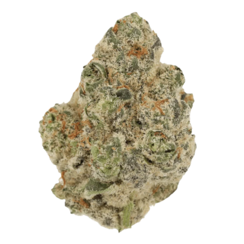 Biscotti Mintz Strain