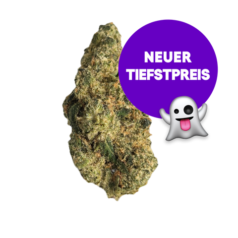 Snow Lotus Strain