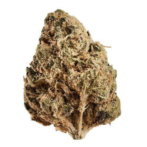 Alien Mints Strain