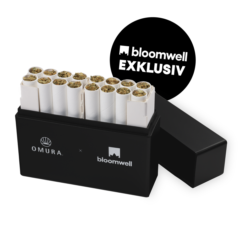 Avaay Signature 25/1 HYP Blütensticks - Probierbox 