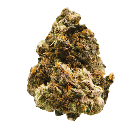 Siggis Pfefferminze Strain