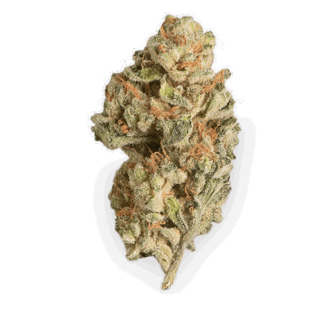 Bubba Kush Strain