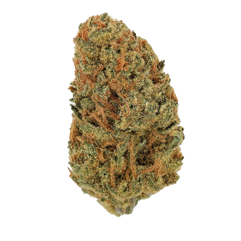 Jack Herer Strain