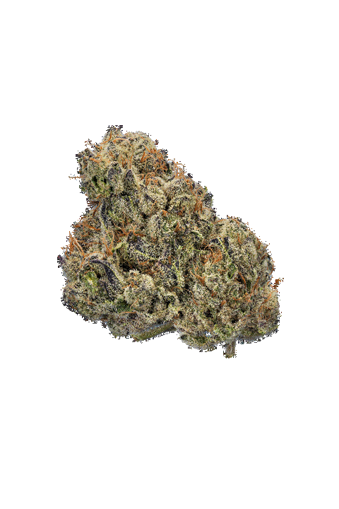 Crispy Doughnut Strain