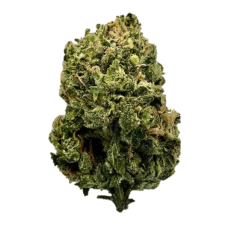 Don Zour Strain
