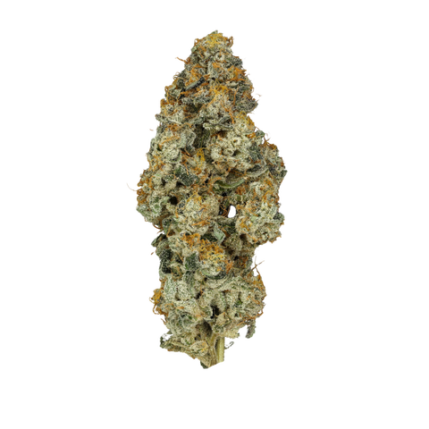 Platinum Oranges Strain