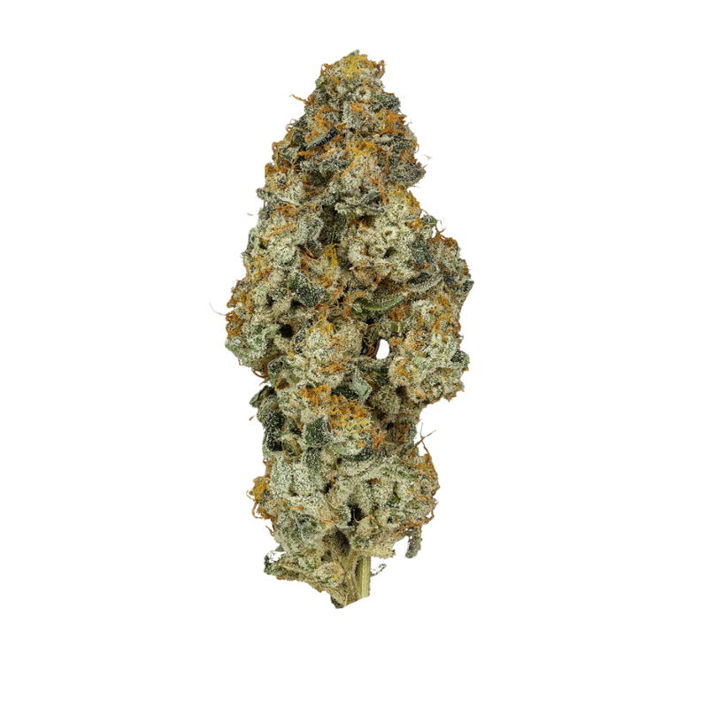 Platinum Oranges