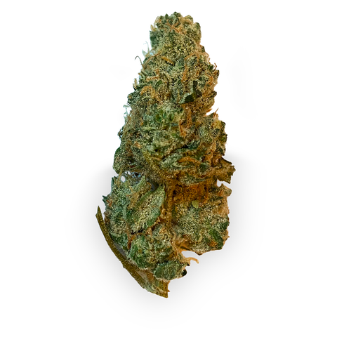 GMO Cookies Strain