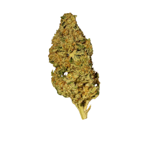 Blue Zoda Strain