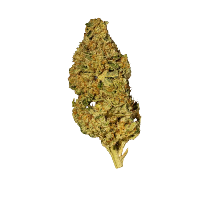 Blue Zoda