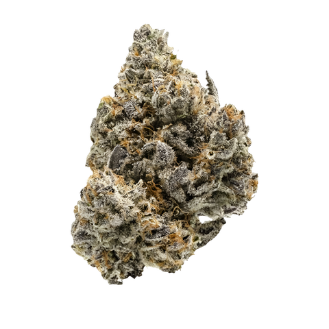 Lime Z Strain