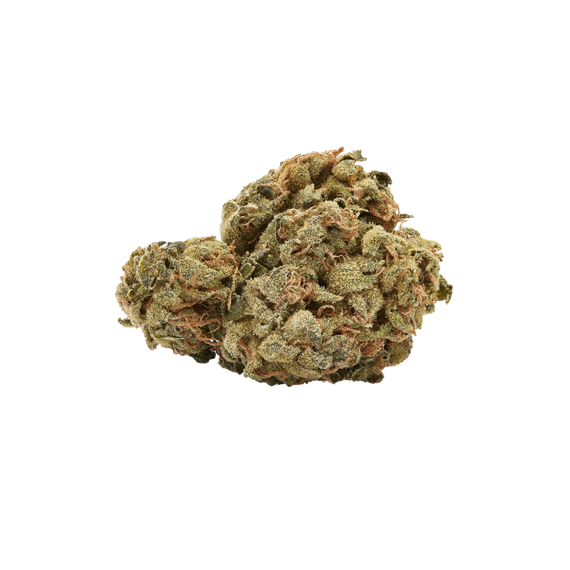 Hindu Kush