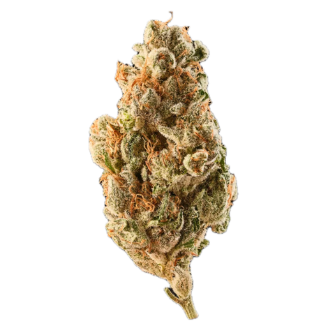 Tigerz Eye Strain