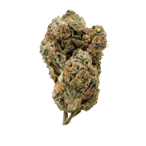 Sour Sherb Strain