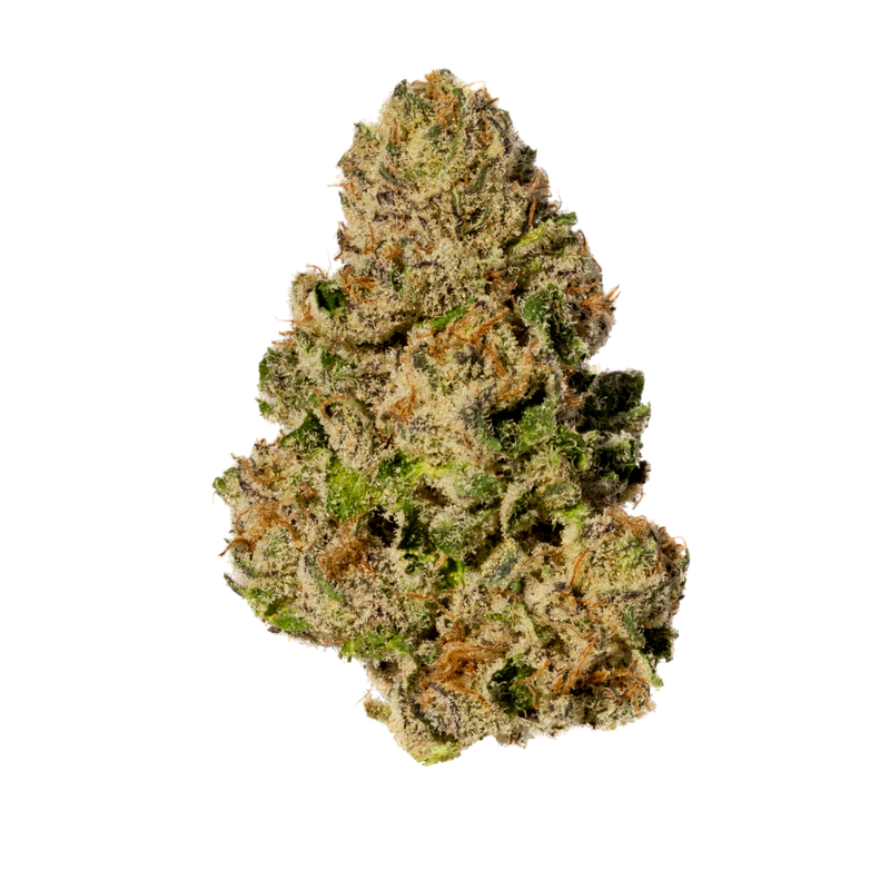Minty GMO