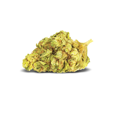 Papaya Power Strain