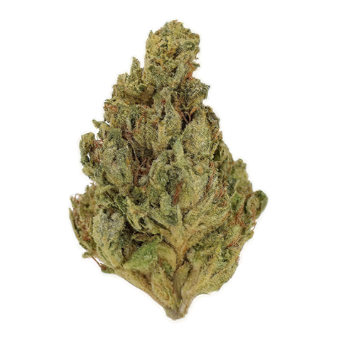 Dosi Bow Strain