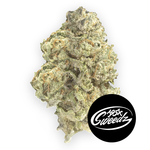 Phantasia Purp Strain